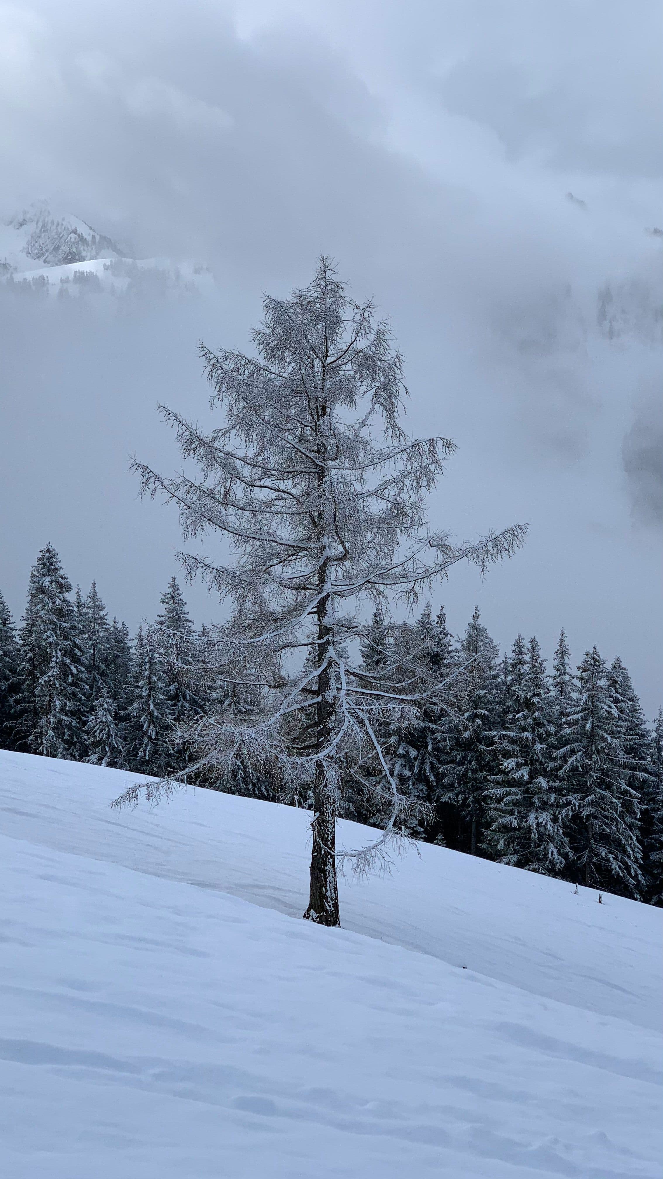 Gstaad photo 5