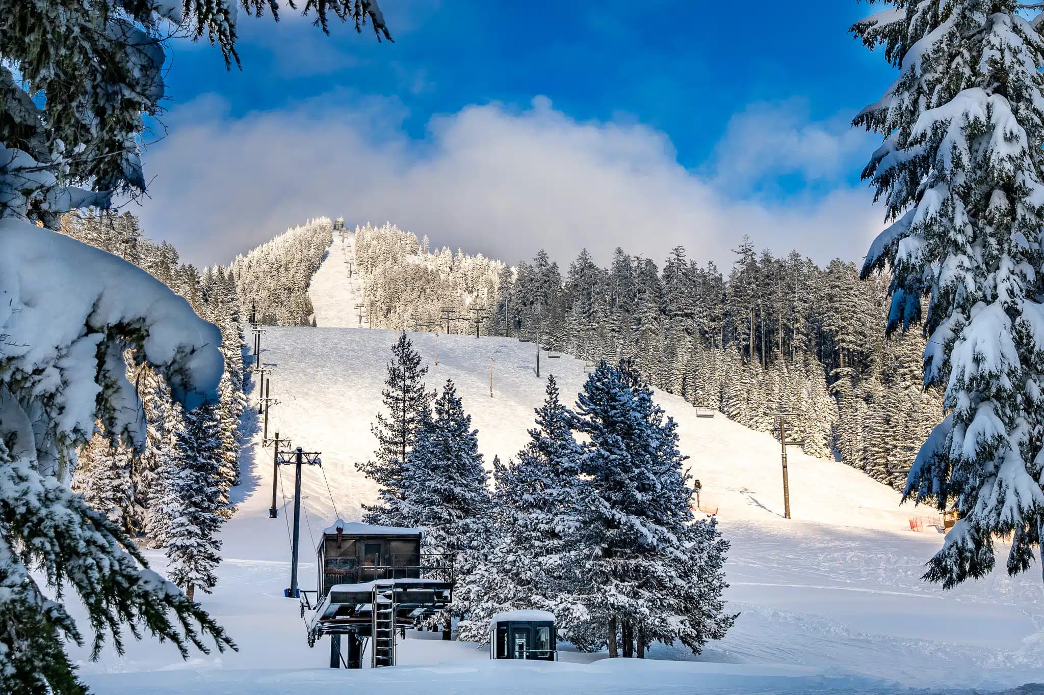 Willamette Pass photo 5