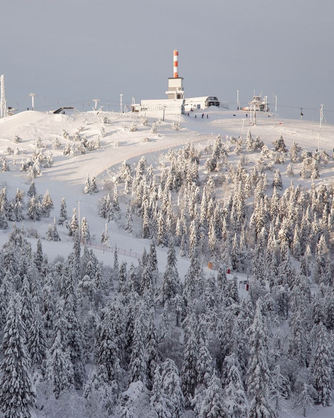 Ruka