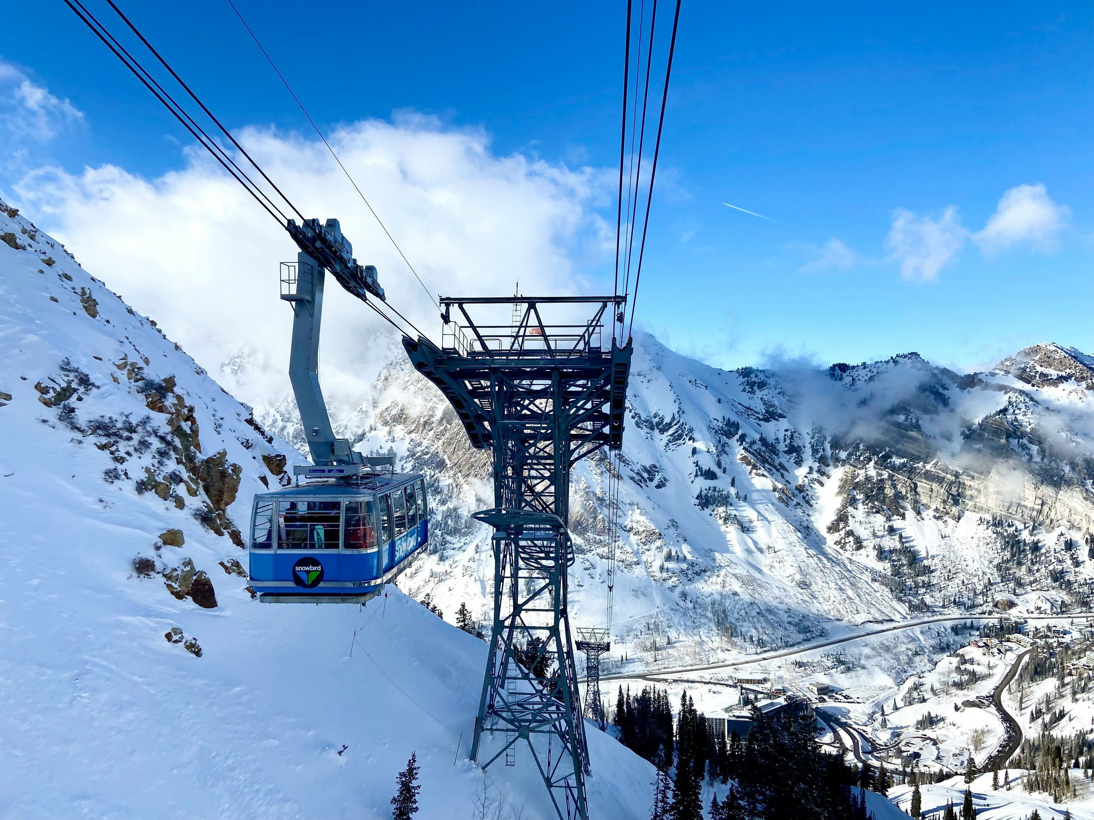 Snowbird photo 3