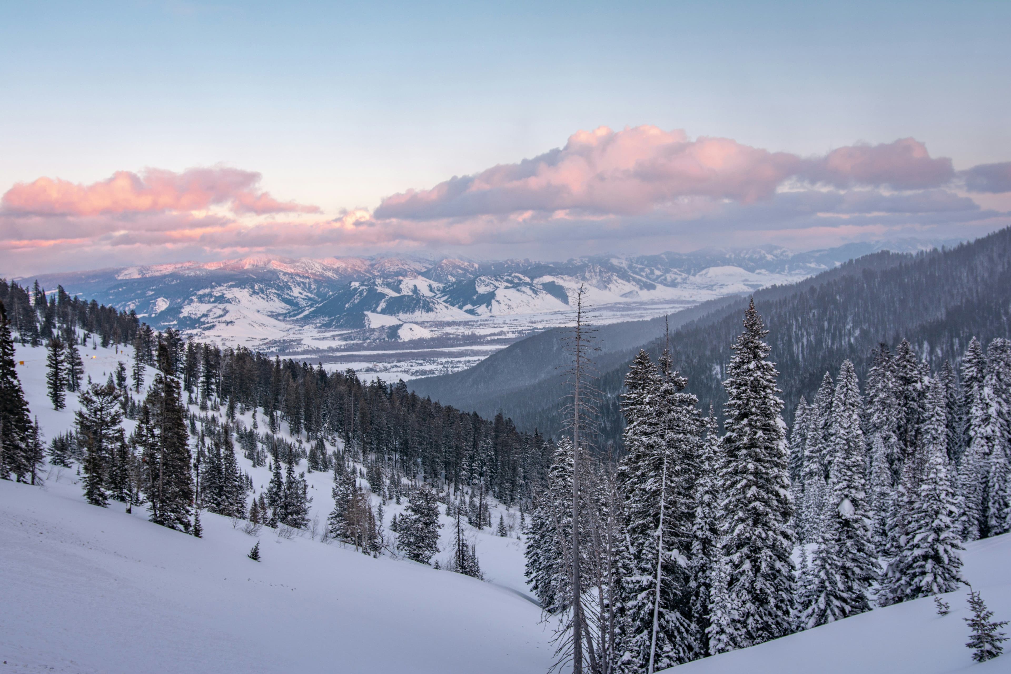 Jackson Hole Mountain Resort photo 18