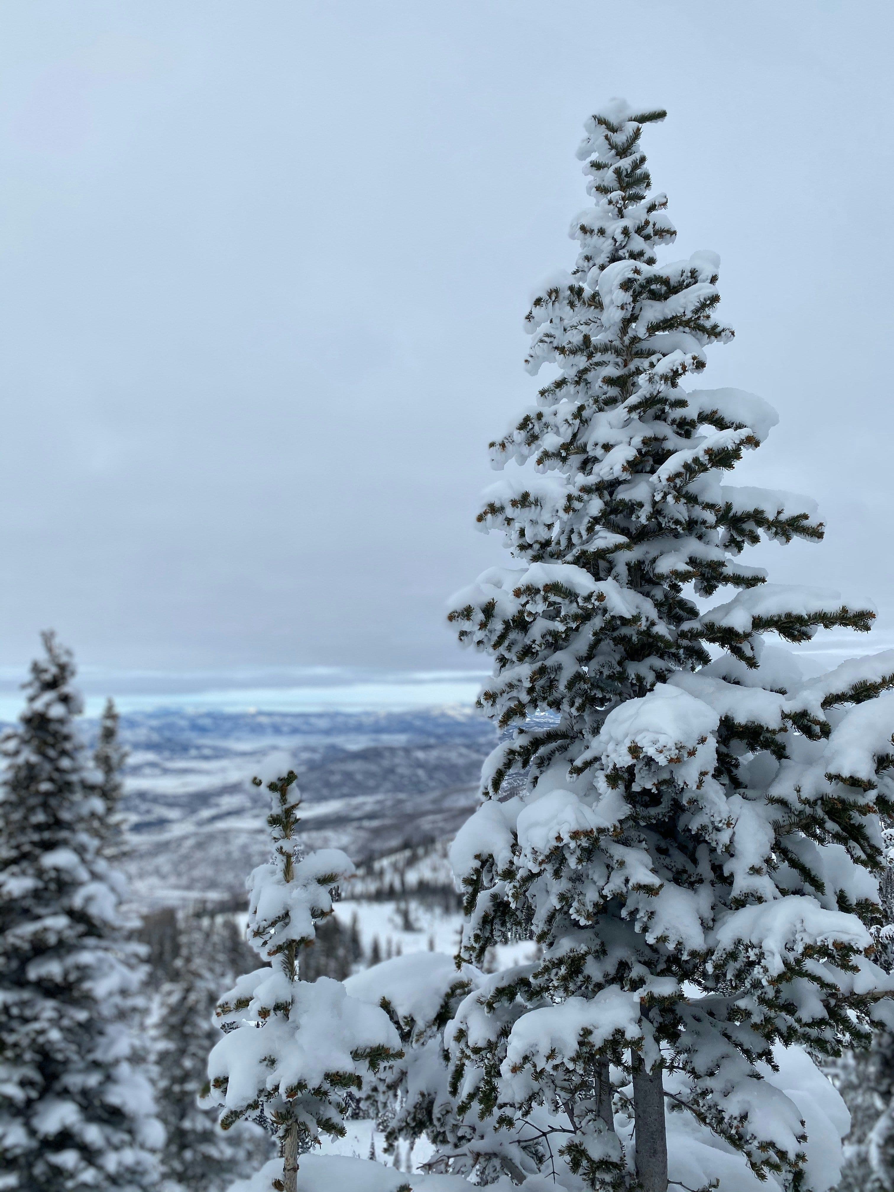Steamboat Ski Resort photo 3